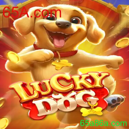 Explorando o Mundo de LuckyDog